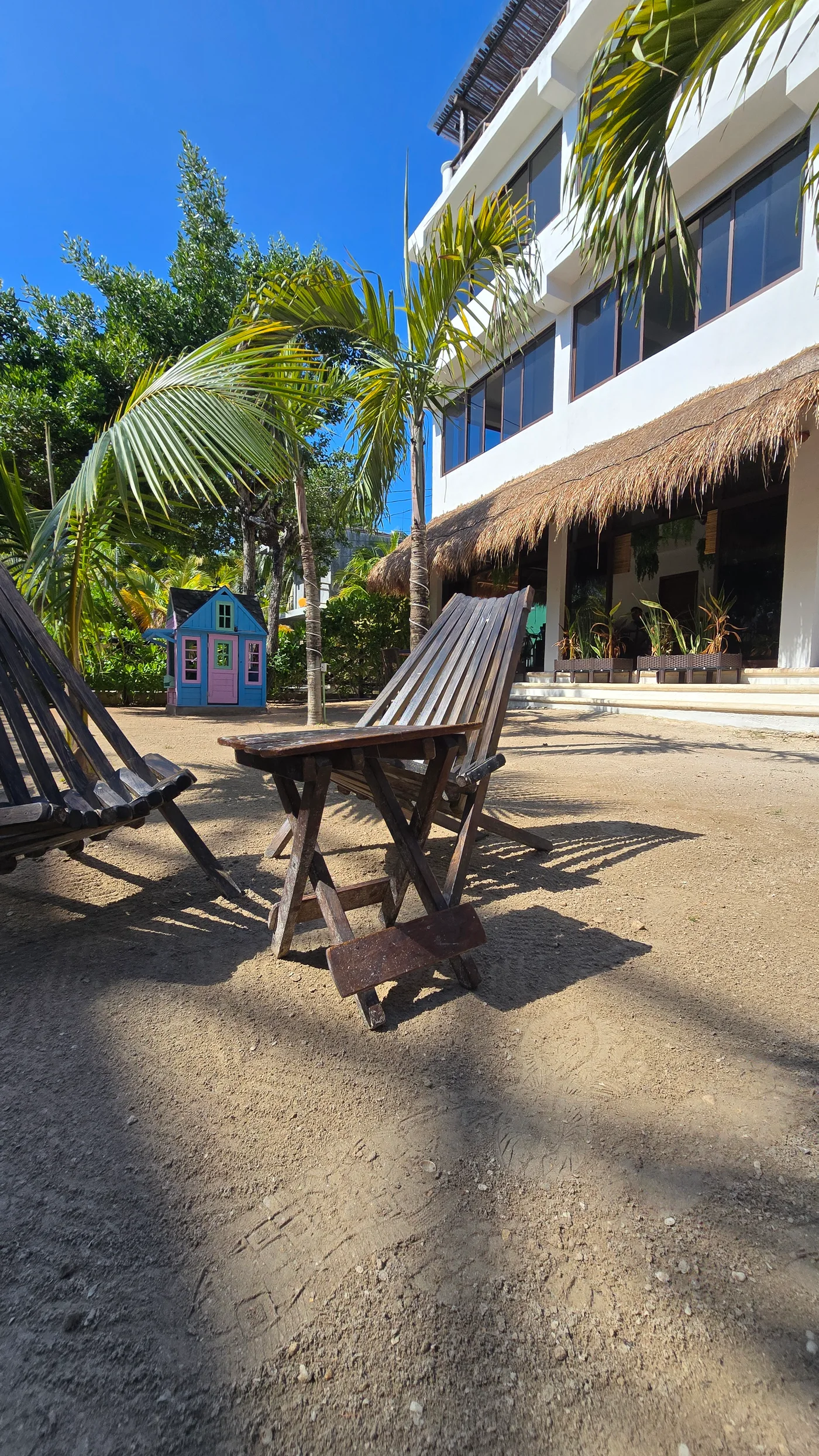 Sillas para descansar bajo las palmeras de Villas Palmar